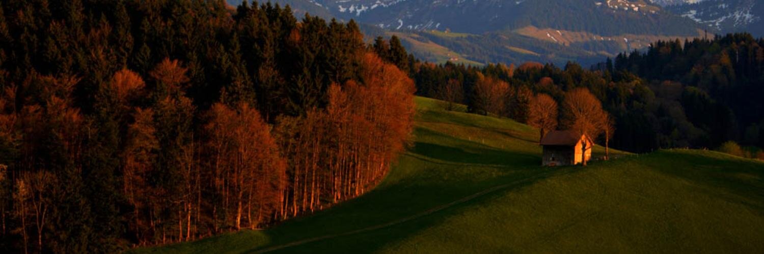 susanne49's profile banner image
