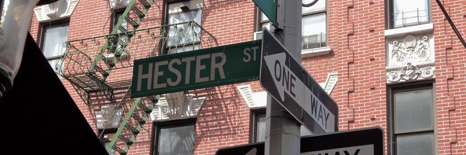 Hester van Schaik banner