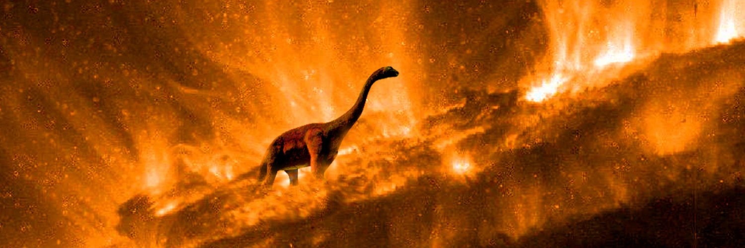 Alexandre R. Kranen banner