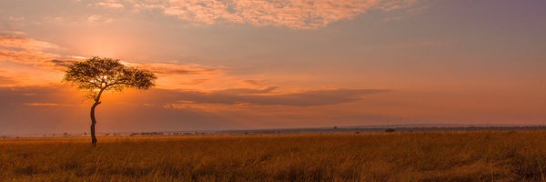 theDopeAgency Profile Banner