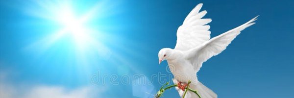 CipsoTia Profile Banner