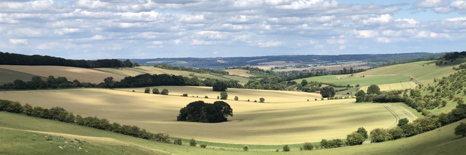 Andy Follows (he/him) banner