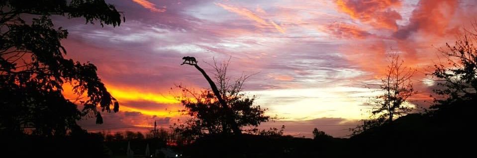 Leopard's Leap banner