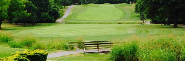 Frank Fleming banner