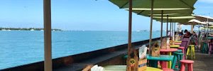 gulfsidemusing's profile banner image