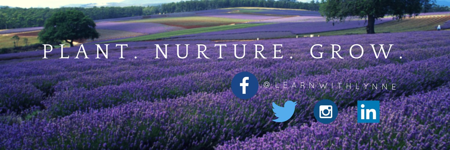 learnwithlynne's profile banner image