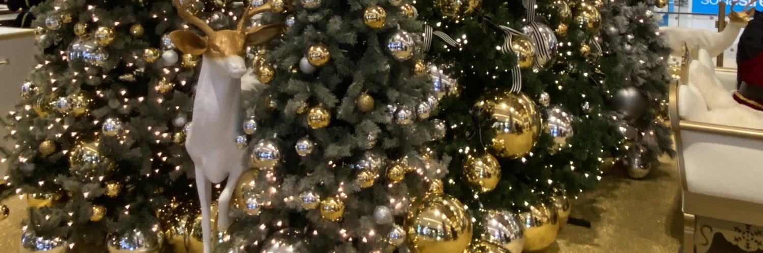 Navidtkd's profile banner image