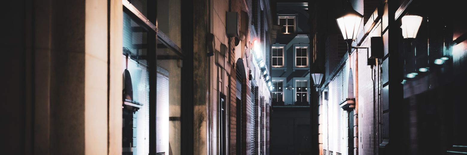 RaidoBergstein's profile banner image