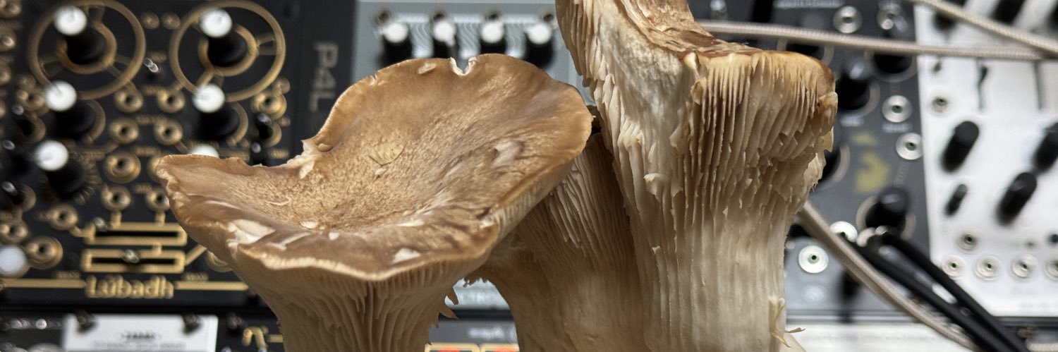 tetsuo jai takahashi banner