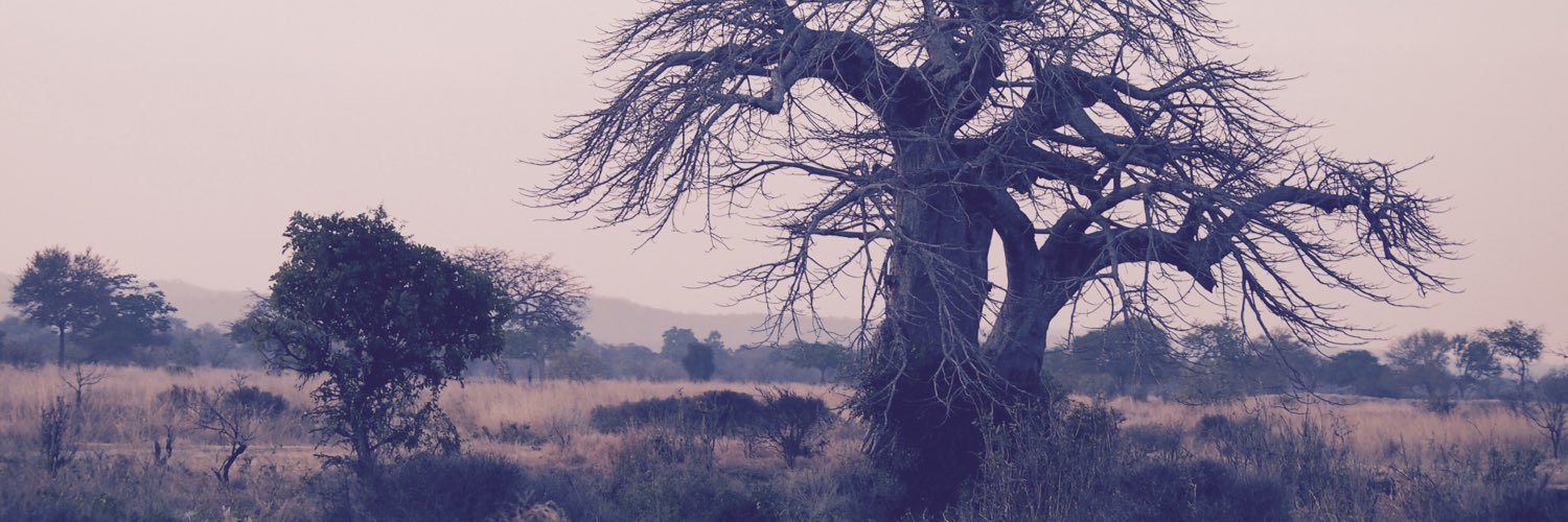 Sallalilla's profile banner image