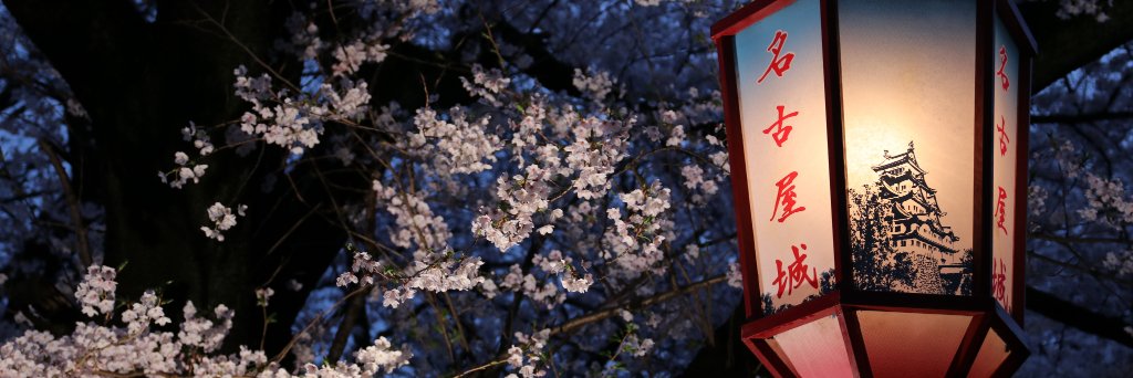 faxa_'s profile banner image