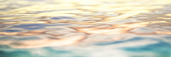 secoora Profile Banner