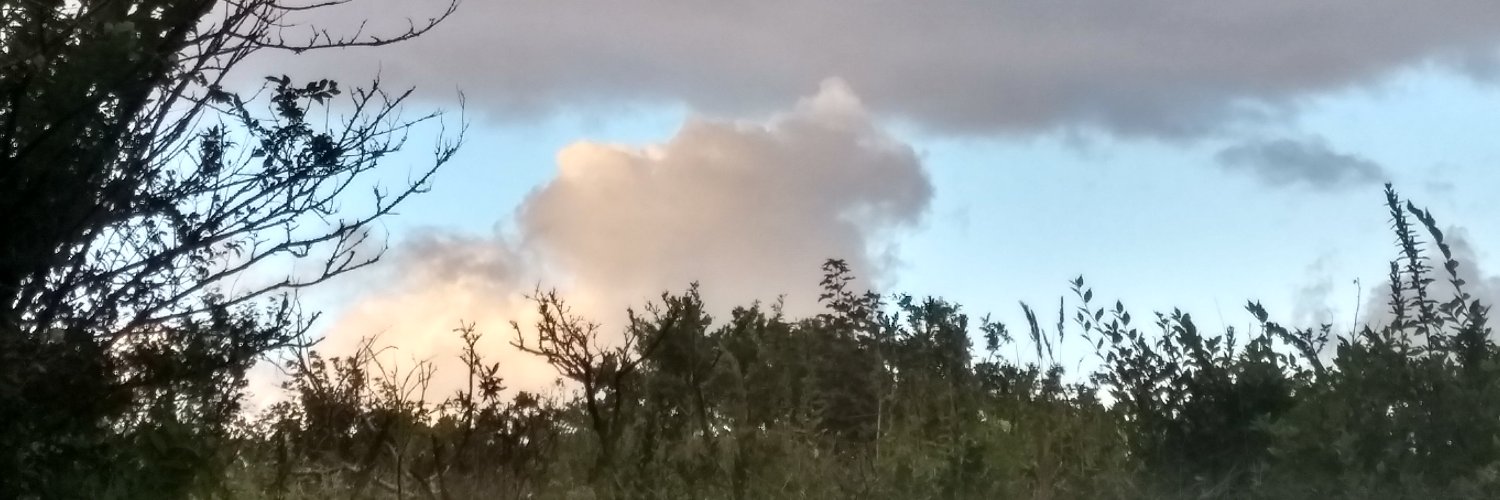 ChrisdenDaas's profile banner image