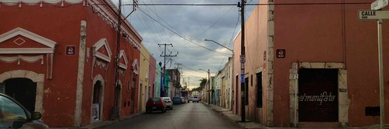 Snedley Grassbuckets banner