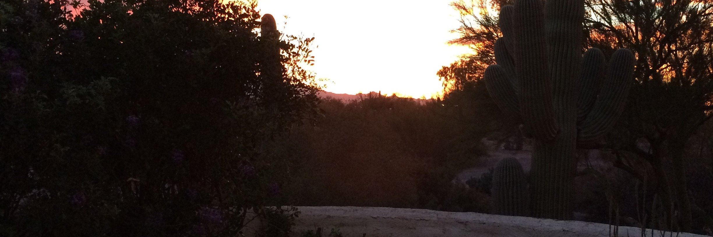 Kathy_ELD's profile banner image
