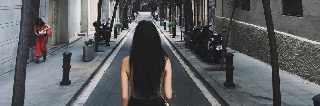 TulipsAAA52's profile banner image