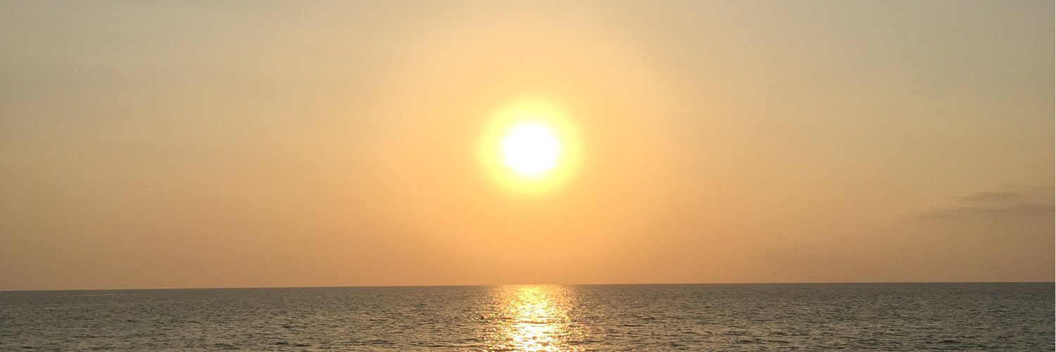 patsicil's profile banner image