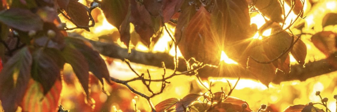 apmeagher's profile banner image