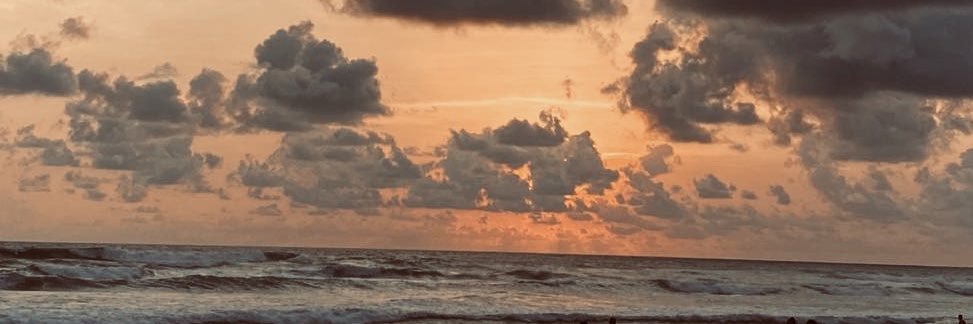 totorrio's profile banner image