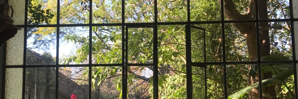 Patio Bullrich banner