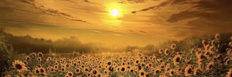 Karina Sepúlveda González banner