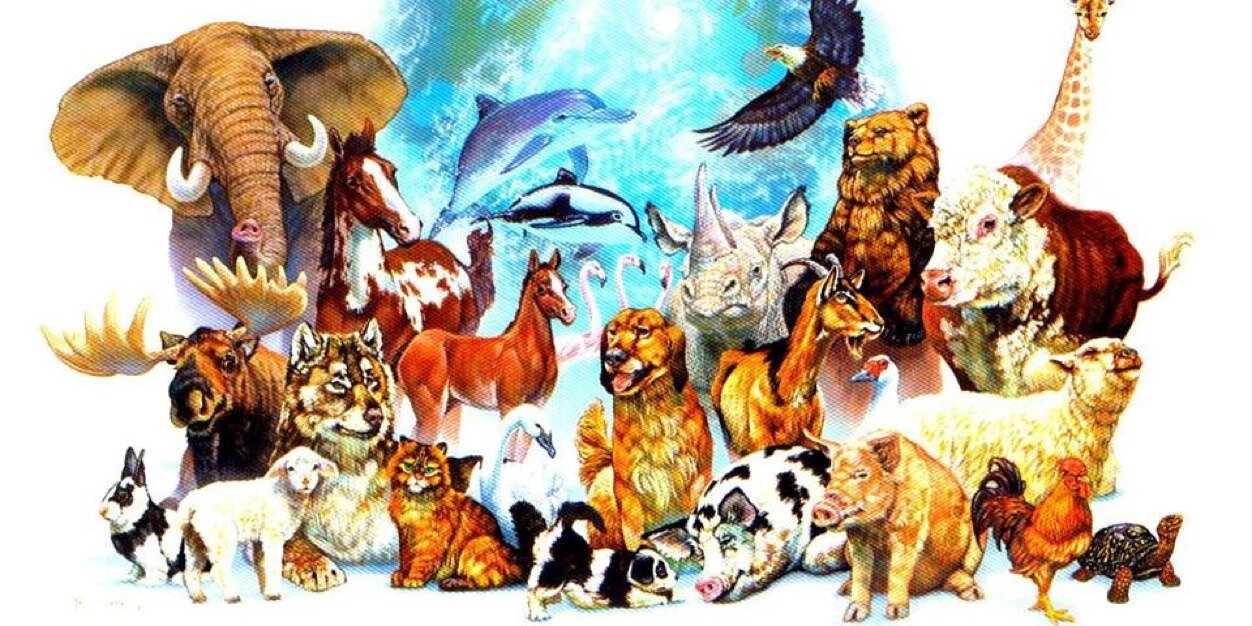 morulises's profile banner image