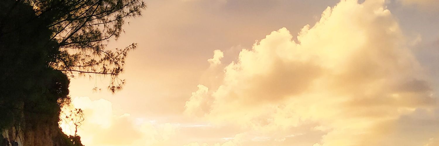 leoandreoli's profile banner image