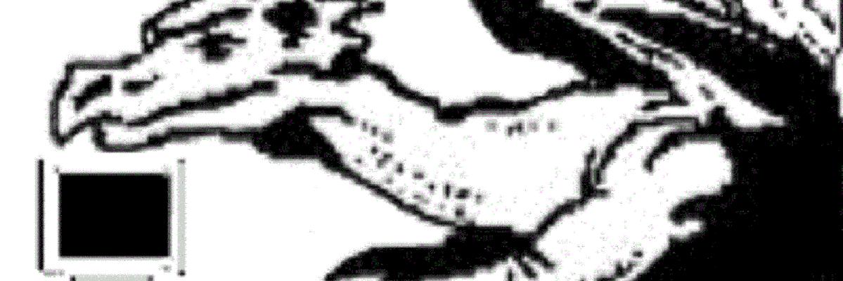 DiMul's profile banner image