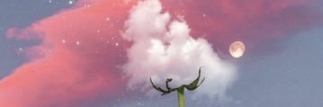 srtadanielak's profile banner image