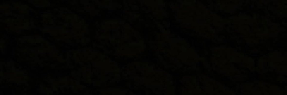 RonDovey's profile banner image