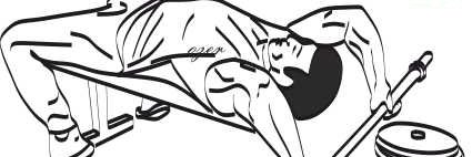 fitnessturkey's profile banner image