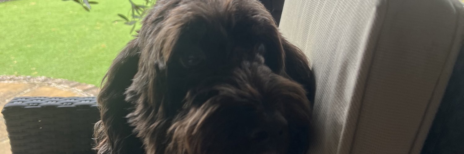 EffBeeJay1's profile banner image
