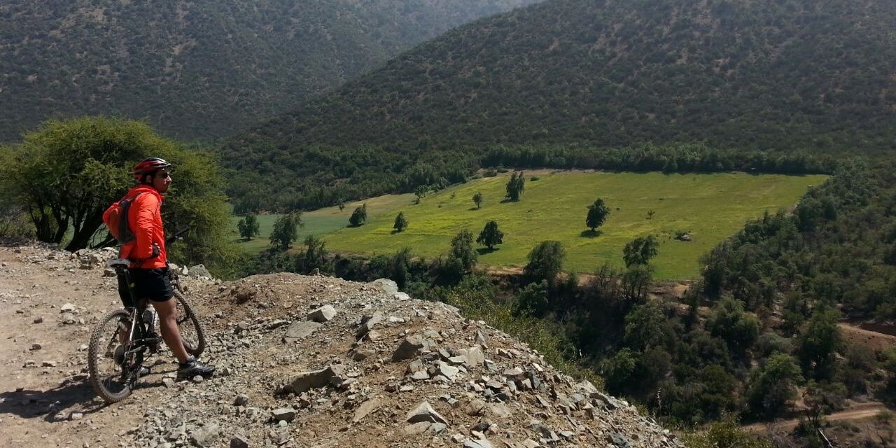 Roberto Rodríguez banner