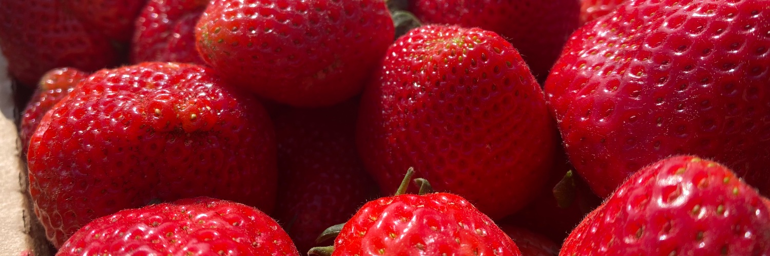 Cottle Strawberry Farm banner
