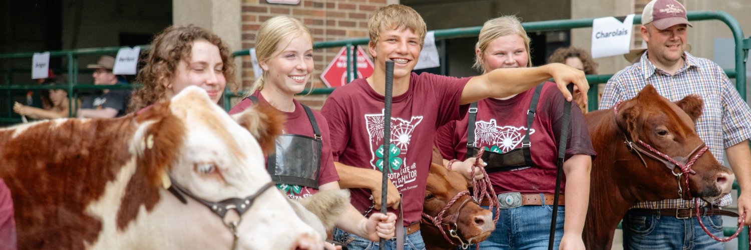 Minnesota 4-H Youth Development banner