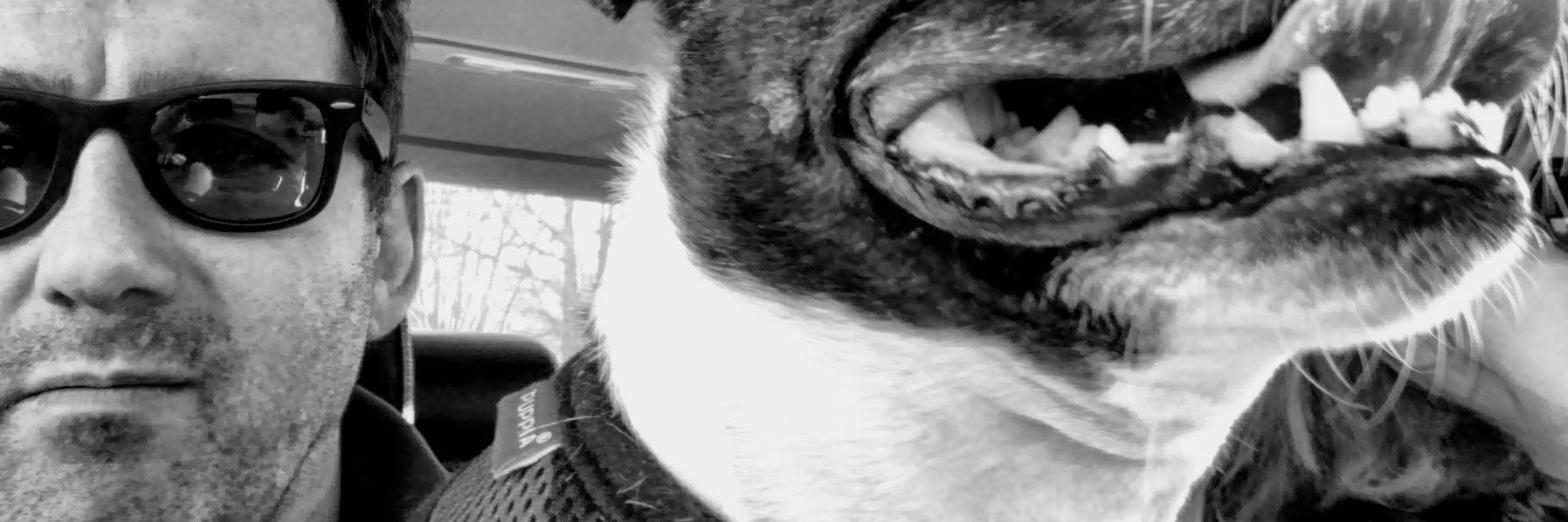 collinsmikey's profile banner image