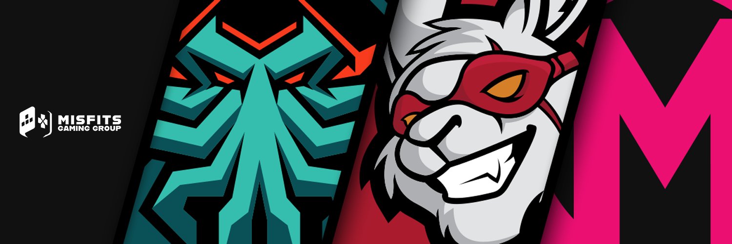 TrustyTurkey's profile banner image
