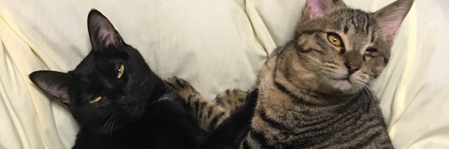 Lorane VILMANT banner