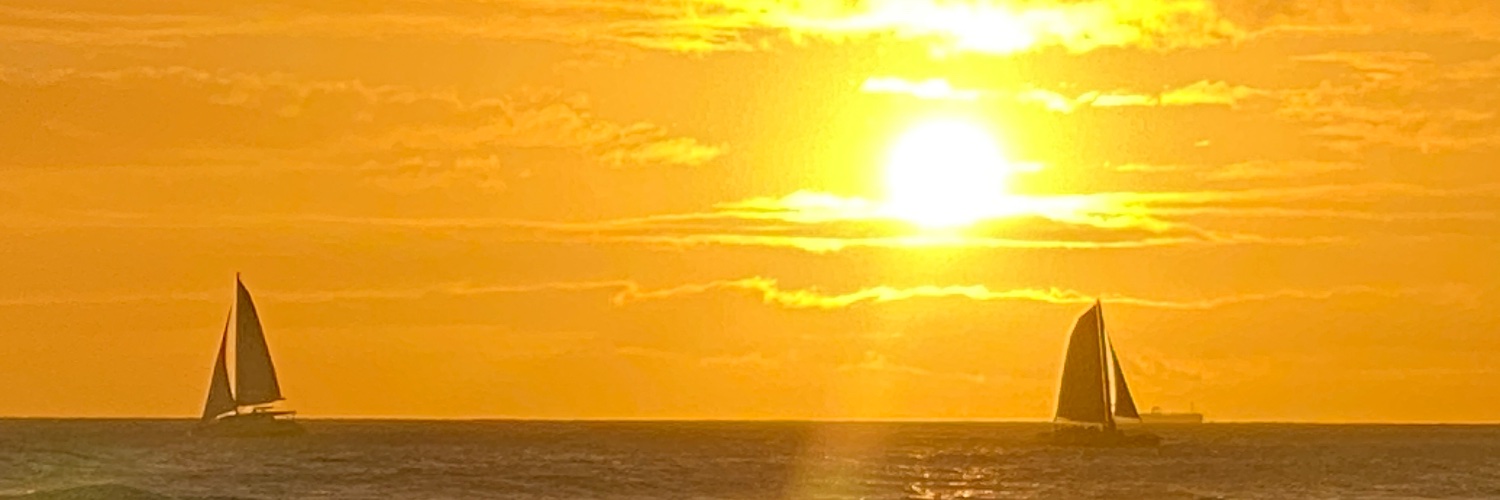 baoism_org's profile banner image