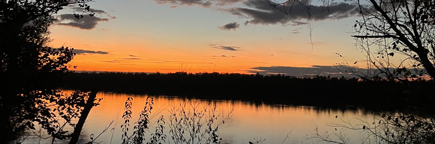 BridgesPhillips's profile banner image