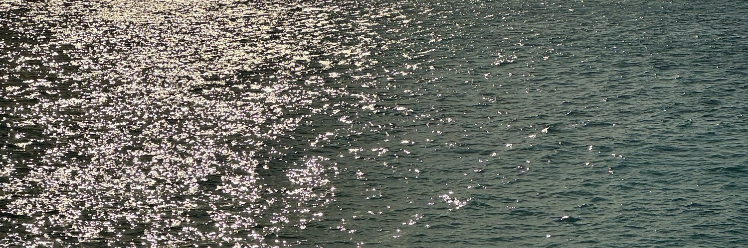 Wouter van der Goes banner