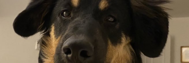 martin_kingman's profile banner image
