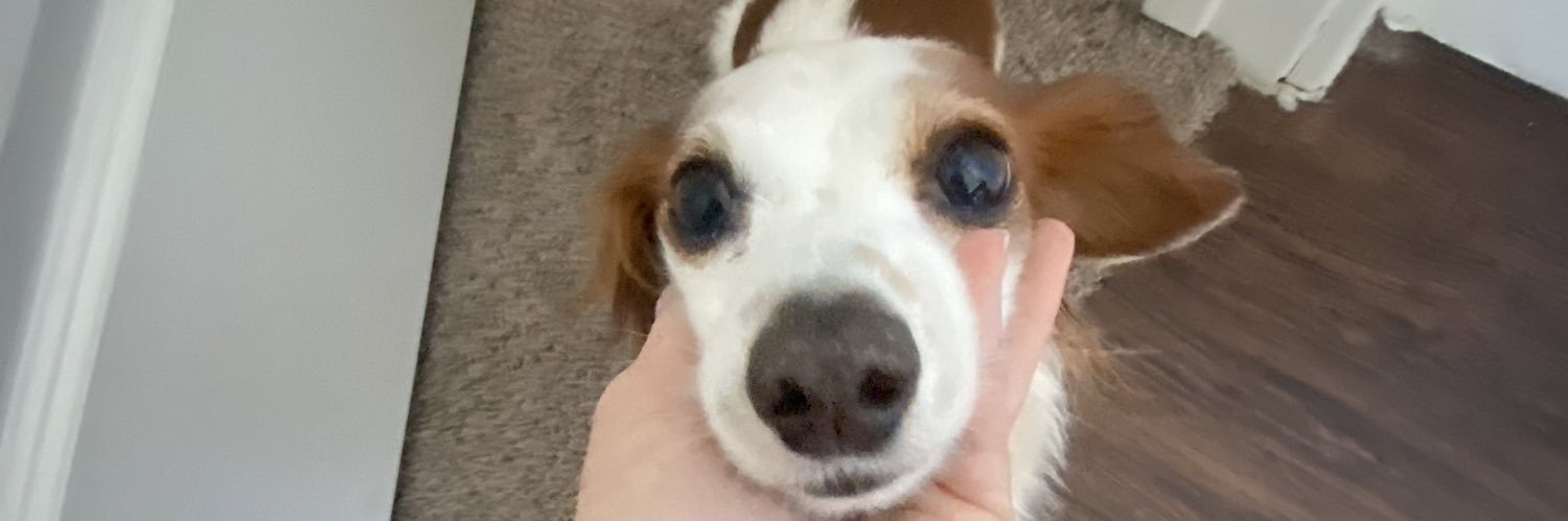 MadisonMorris49's profile banner image