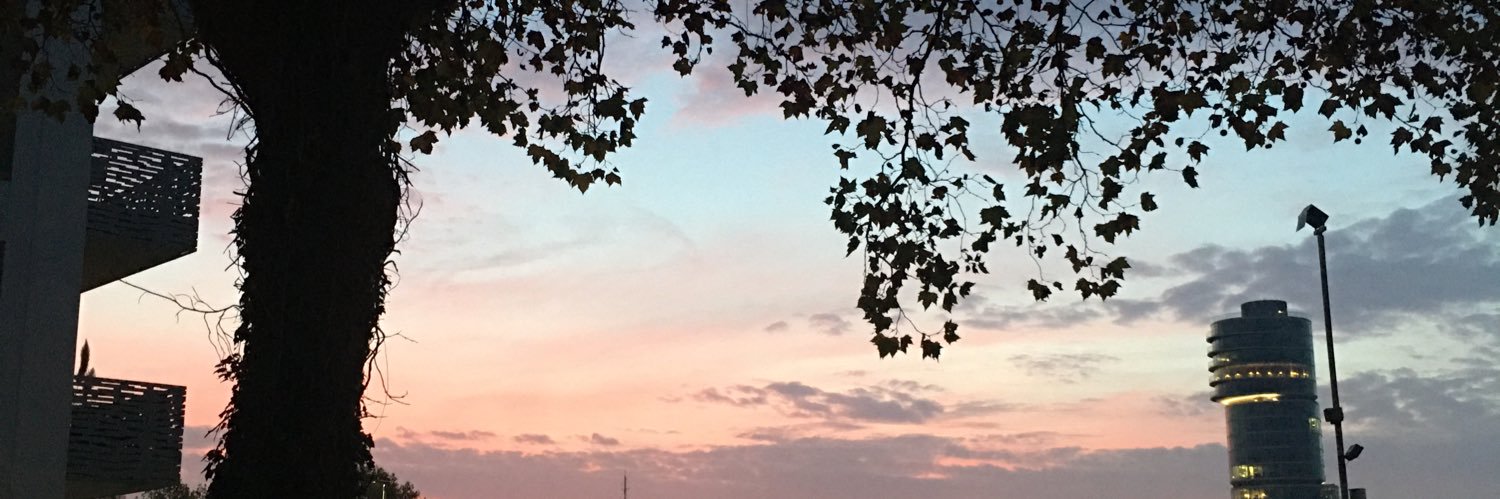 weefreeme's profile banner image