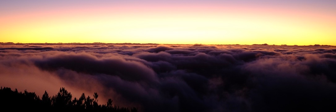 CarterAppleton's profile banner image