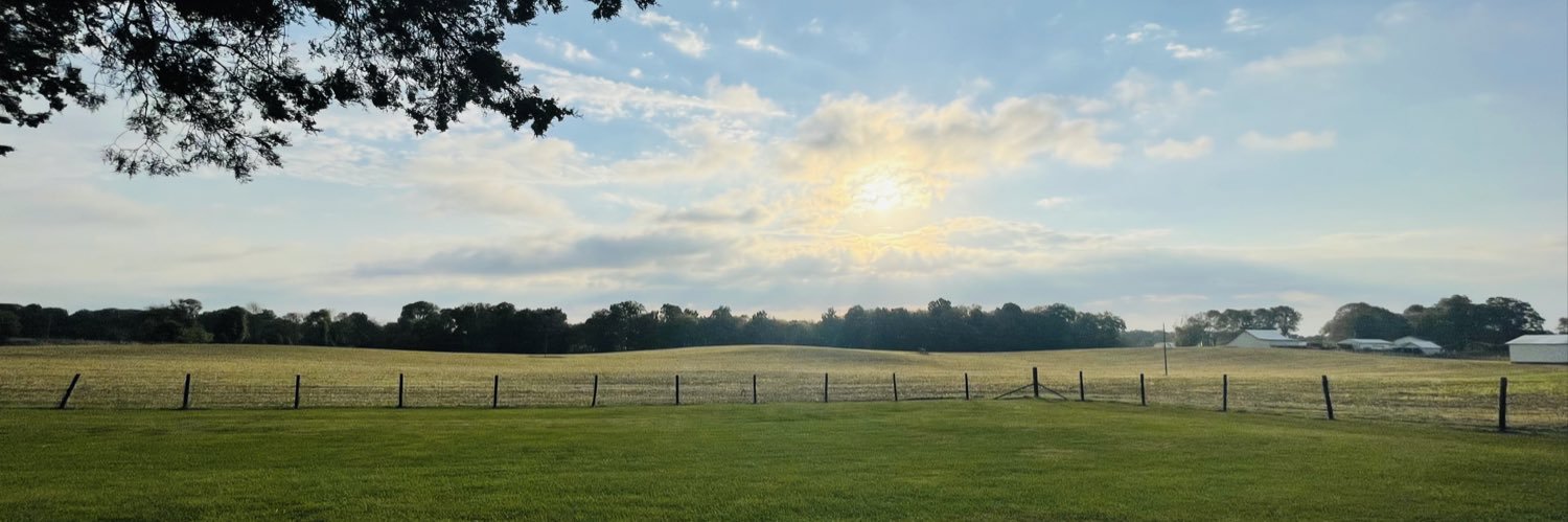 AmandaLeeWatt's profile banner image