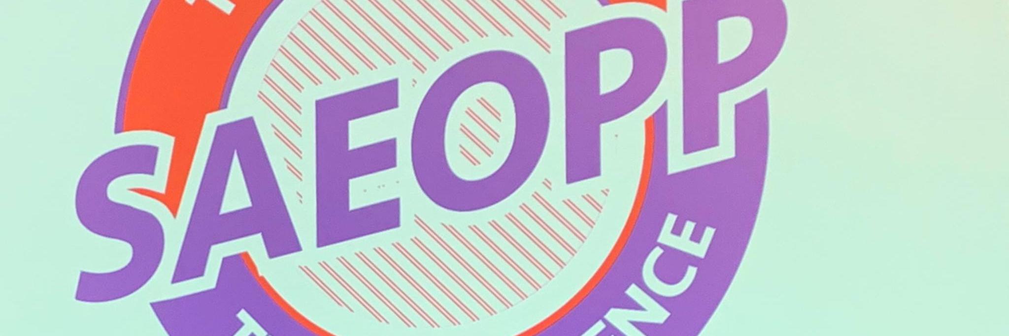 saeopp's profile banner image