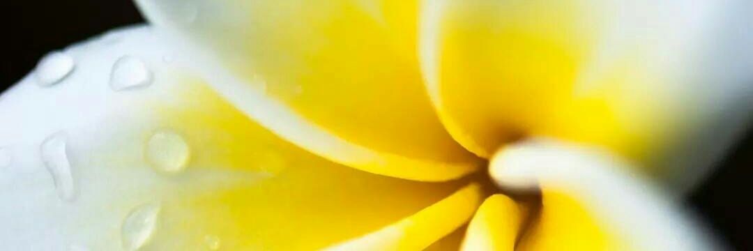 rosimarvivasu's profile banner image