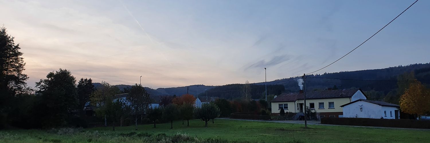 MissMeowsaLot banner