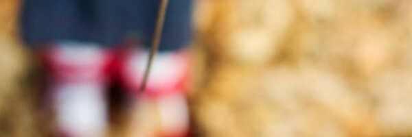 emma Profile Banner